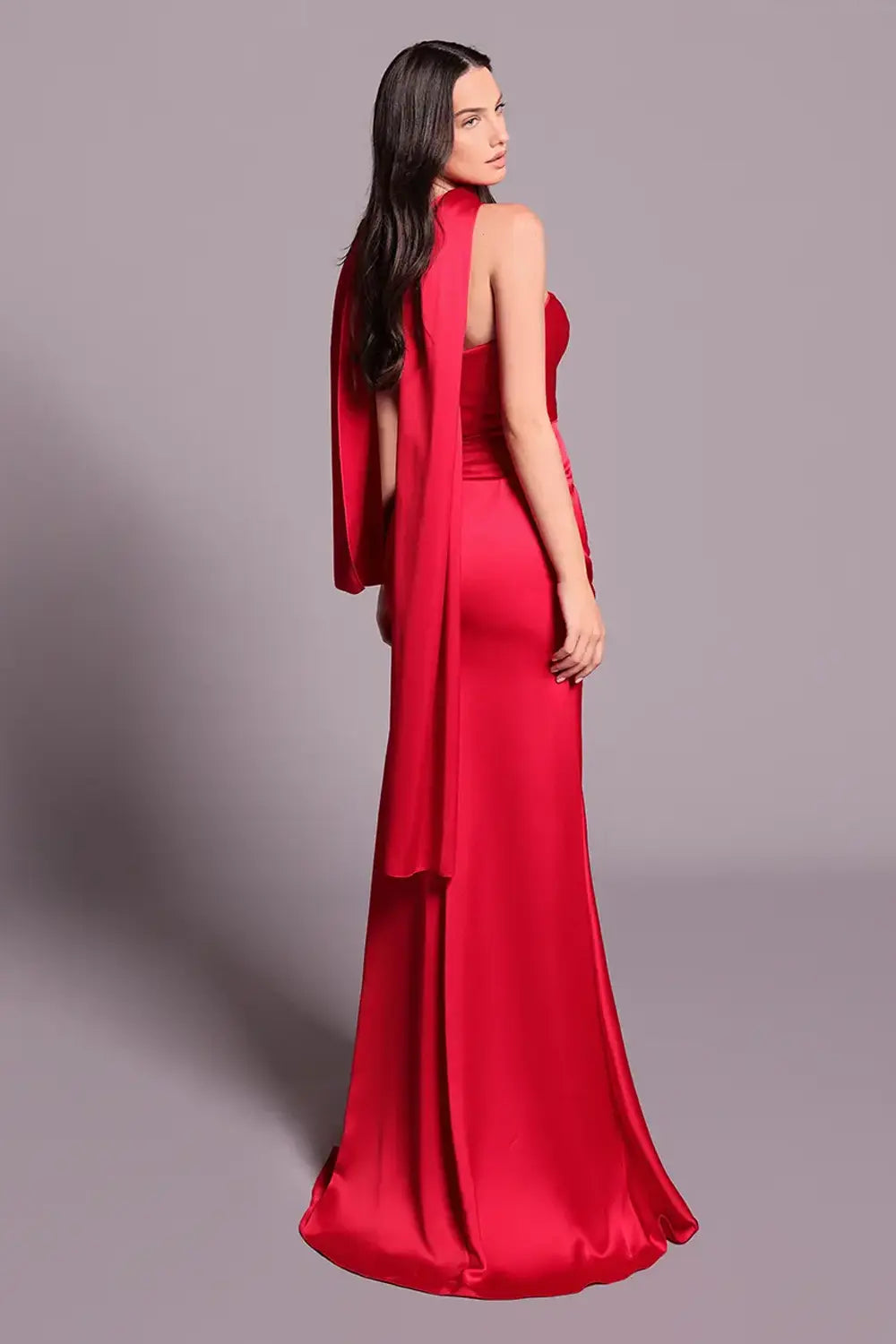 Evening Dress | ROSELLE - Tarik Ediz 99048